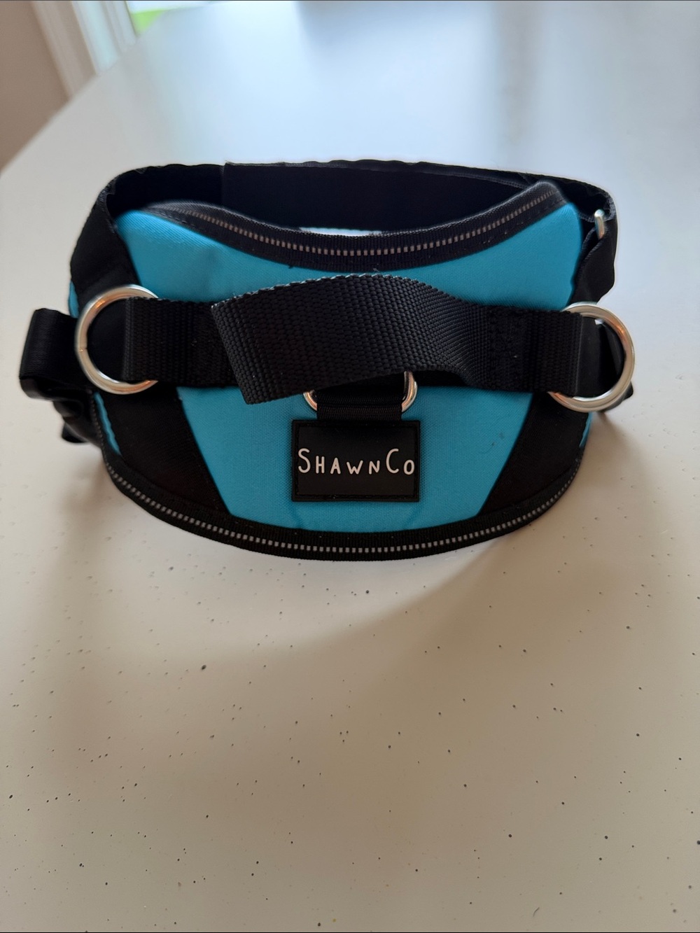 Shawn Co Small Dog Harness - Picture 5 of 8